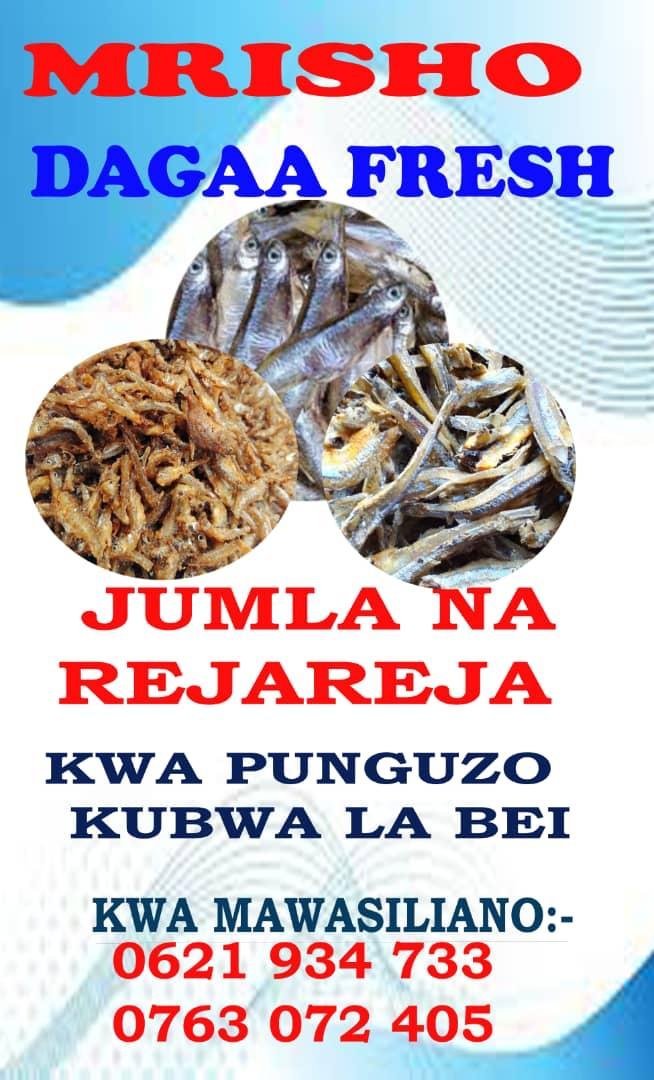 MRISHO DAGAA FRESH – DAGAA PEKEE BORA SANA TUNAOKULA WATAWALA TU ILI KUBORESHA AFYA ZETU ZA AKILI {MDF}